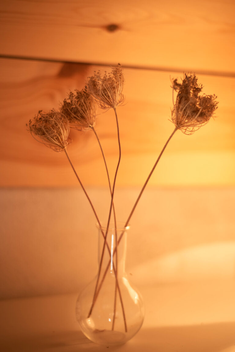 Accueillir les énergies de l'automne : depression saisonniere et l'immunité grâce à la protection du système nerveux