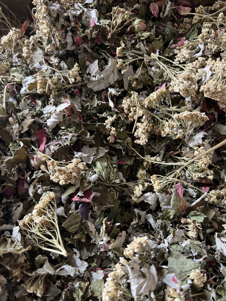 Je vous parle d'une plante: L'achillée millefeuille